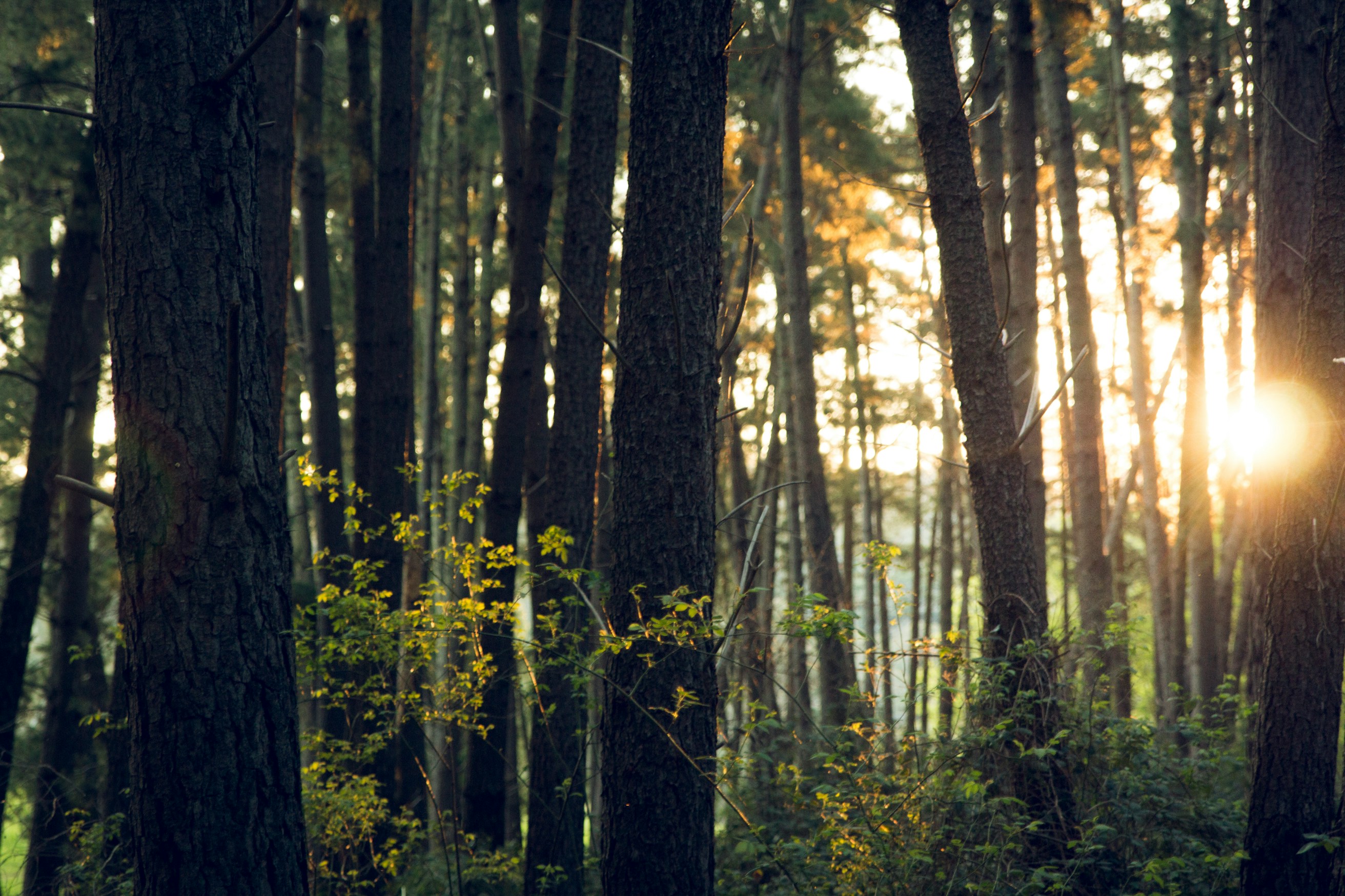50-50-banner-picture